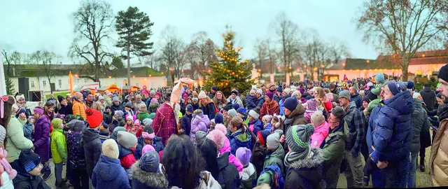 Der diesjährige Adventmarkt in Wilfersdorf erwies sich als voller Erfolg und verwandelte das Liechtenstein Schloss Wilfersdorf, den Adventpfad sowie das Weingut Liechtenstein in ein stimmungsvolles Weihnachtsparadies. | Foto: Gemeinde Wilfersdorf