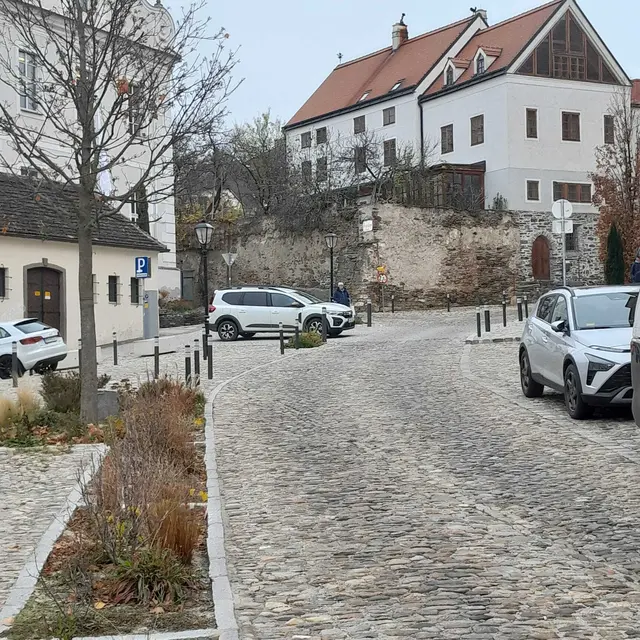 Kritik kommt häufig vom Hohen Markt, die Steher (umgangssprachlich "Stempfeln") behindern auch Anrainer. | Foto: sg