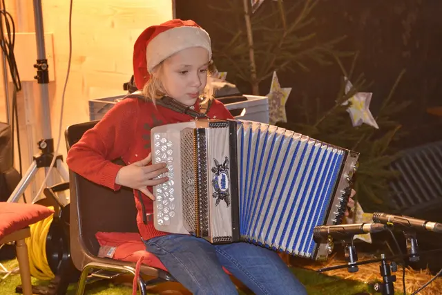 Elisabeth Maier (Steirische Harmonika)