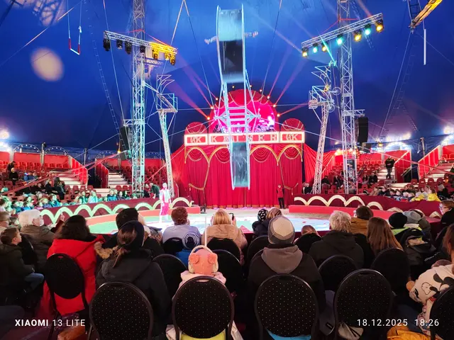 Premiere 18.12.2025 Circus Alex Kaiser - 10. OÖ Weihnachtszirkus in Mauthausen | Foto: Mauthausen Tourismus