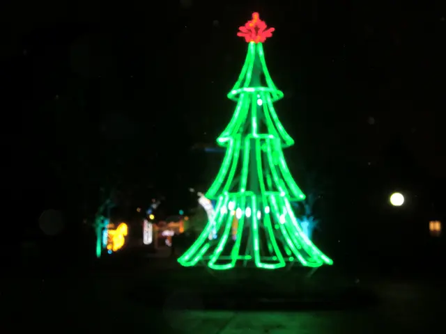 Foto: elviras kunst & kunsttreff wien