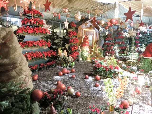 Foto: elviras kunst & kunsttreff wien