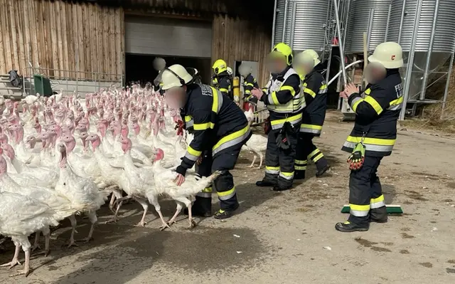Foto: Feuerwehr Althofen