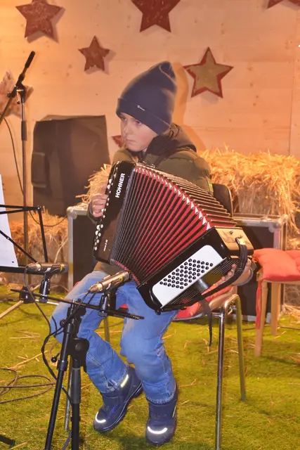 Alexander Joham (Akkordeon)