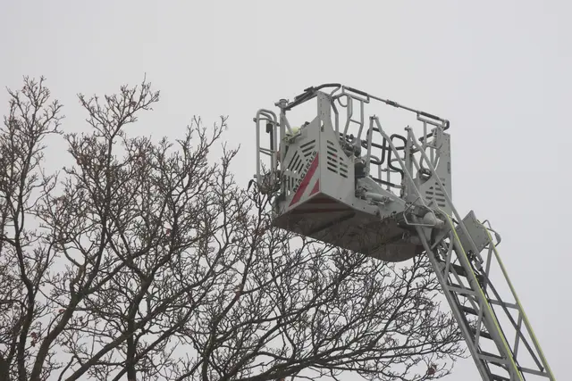 Foto: laumat/Matthias Lauber |