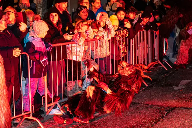 Foto: MeinBezirk Linz-Land/Lorenz