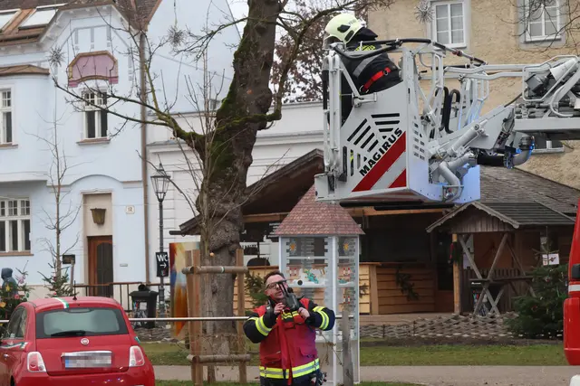 Foto: laumat/Matthias Lauber |