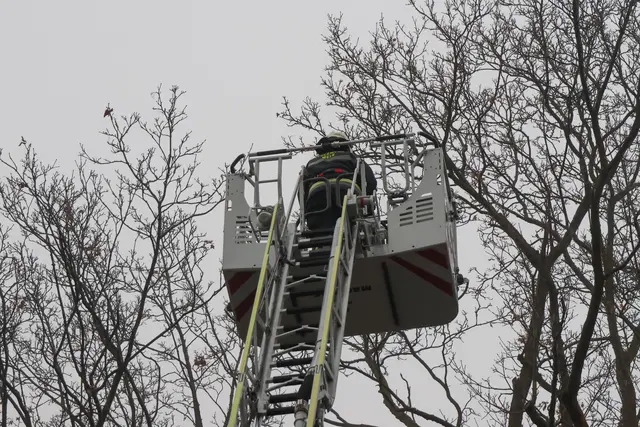 Foto: laumat/Matthias Lauber |