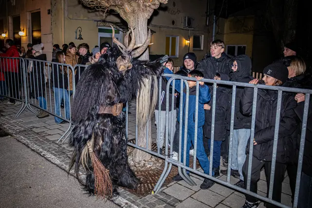 Foto: MeinBezirk Linz-Land/Lorenz