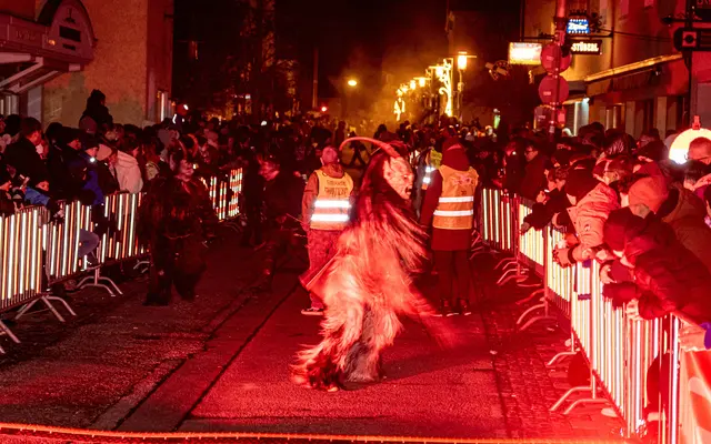 Foto: MeinBezirk Linz-Land/Lorenz