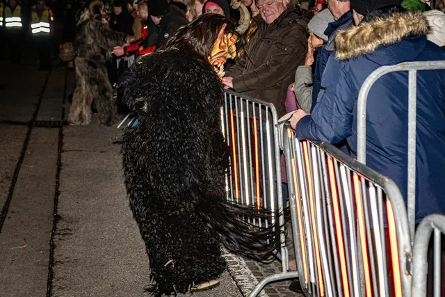 Foto: MeinBezirk Linz-Land/Lorenz