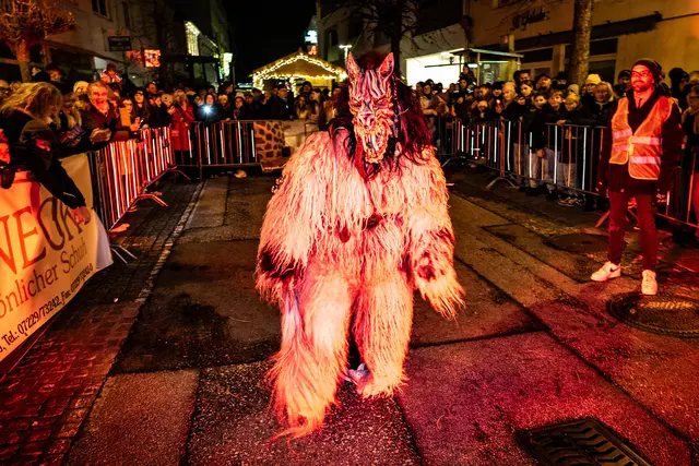 Foto: MeinBezirk Linz-Land/Lorenz