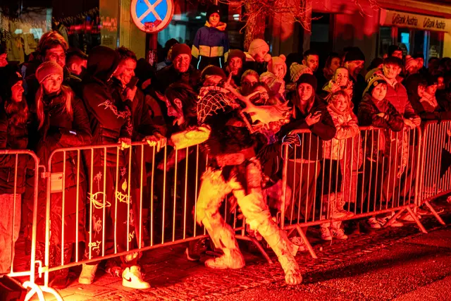 Foto: MeinBezirk Linz-Land/Lorenz