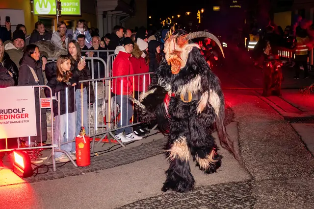 Foto: MeinBezirk Linz-Land/Lorenz