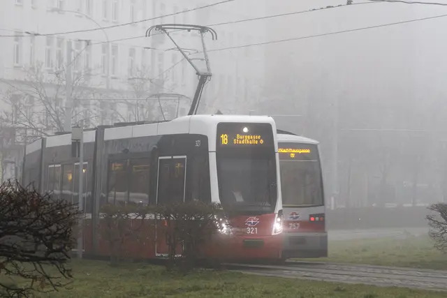 Auch am Sonntag bleibt die Nebelsuppe in Wien. | Foto: APA-Images / ALEX HALADA