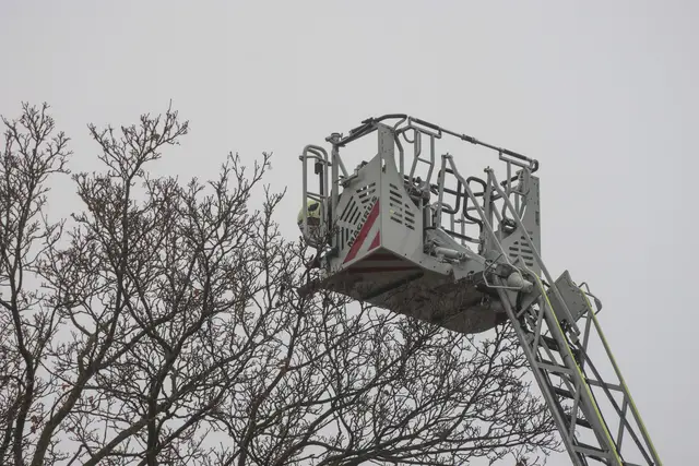 Foto: laumat/Matthias Lauber |