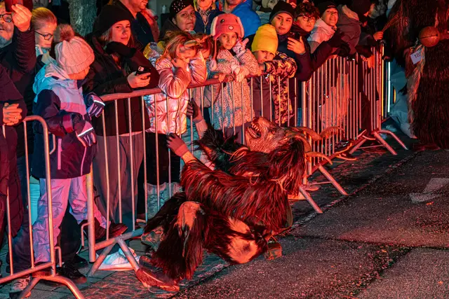 Foto: MeinBezirk Linz-Land/Lorenz