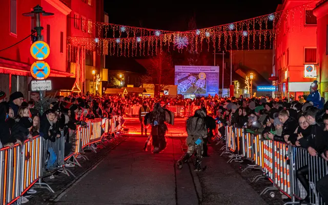 Foto: MeinBezirk Linz-Land/Lorenz