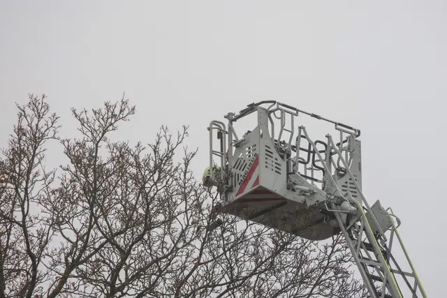 Foto: laumat/Matthias Lauber |