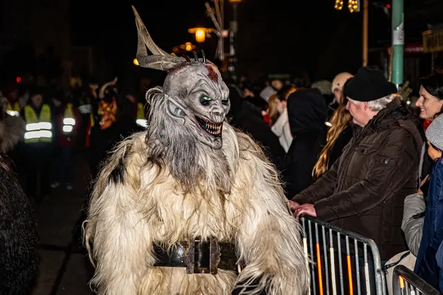 Foto: MeinBezirk Linz-Land/Lorenz