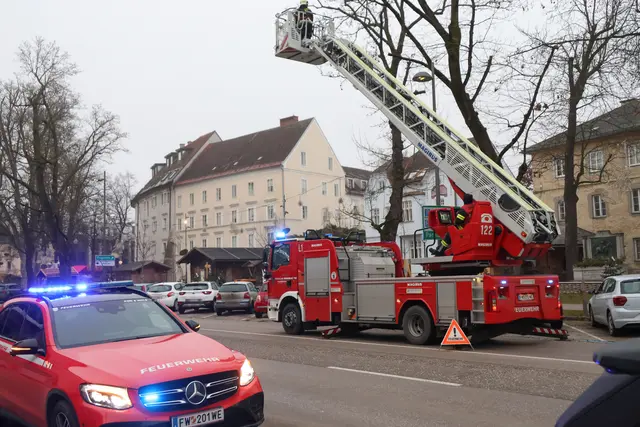 Foto: laumat/Matthias Lauber |