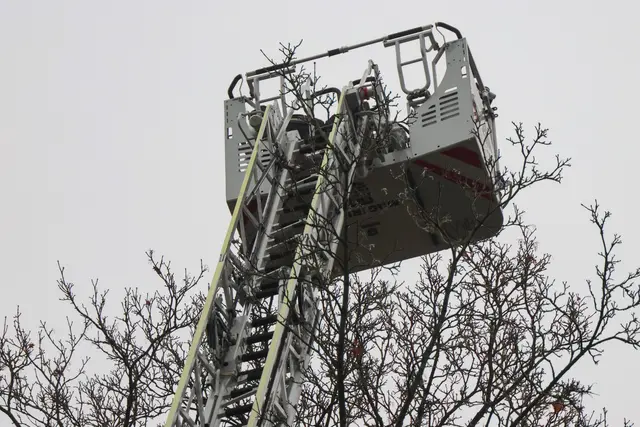 Foto: laumat/Matthias Lauber |