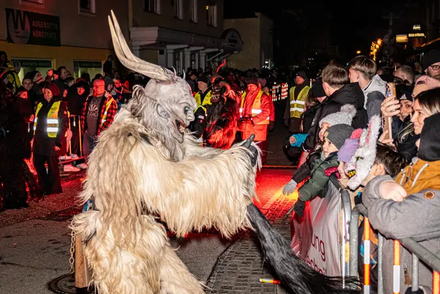 Foto: MeinBezirk Linz-Land/Lorenz