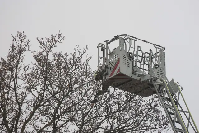 Foto: laumat/Matthias Lauber |