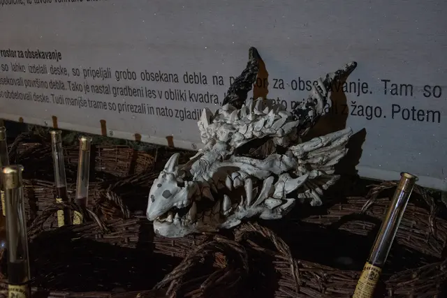 Foto: MeinBezirk/Freya Essler