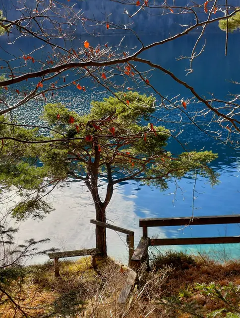 Fuschlsee  | Foto: H.Bachinger