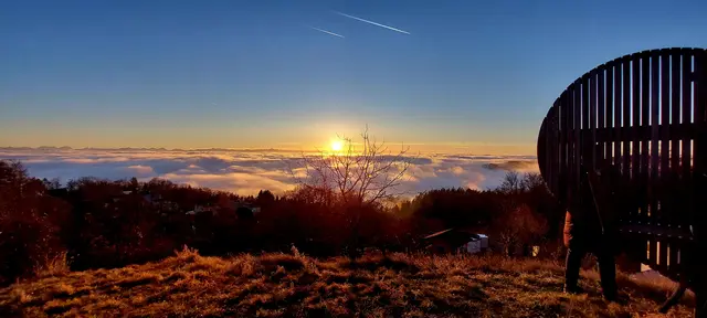 Foto: Lydia Mitterlehner