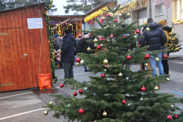 Erst geschmückt, dann Wurfobjekte: Die Christbäume. | Foto: Raimund Mold