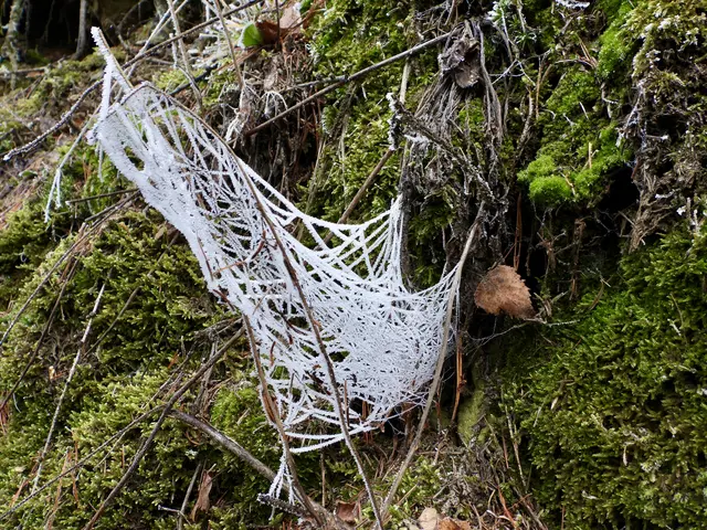 Dieses Netzwerk hält dich gefangen obwohl es offline ist