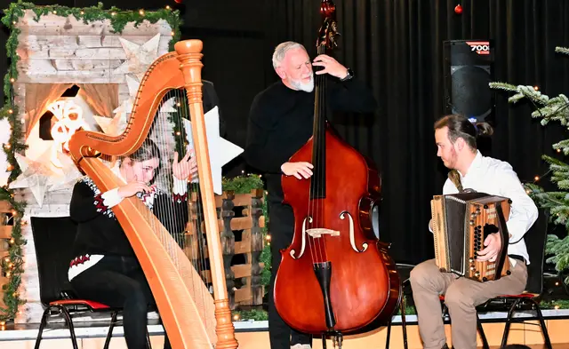 Julia Weithaler, Thomas Petschnig und Johannes Wachter musizieren als Ensemble "Stub'nhocker". | Foto: Hassl