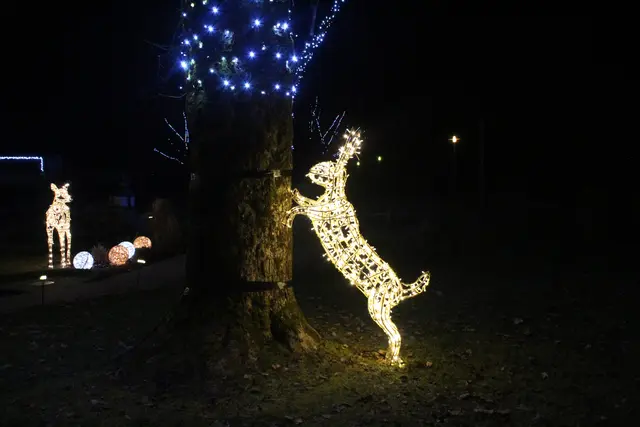 Verschiedene Lichtinstallationen führen entlang eines Lichterwegs durch das Ortszentrum.