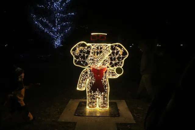 Verschiedene Lichtinstallationen führen entlang eines Lichterwegs durch das Ortszentrum.