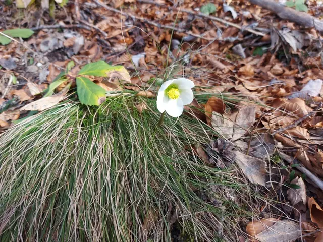 Foto: Alpenverein Enns