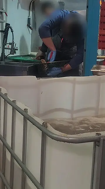 Foto: VGT