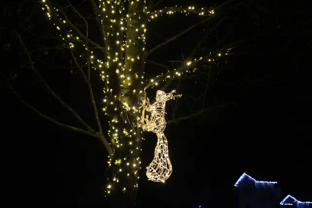 Verschiedene Lichtinstallationen führen entlang eines Lichterwegs durch das Ortszentrum.