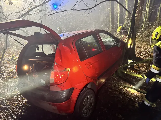 Foto: FF Katzelsdorf