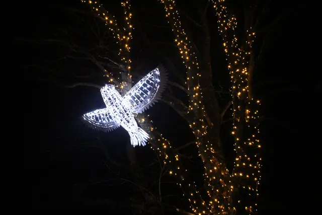 Verschiedene Lichtinstallationen führen entlang eines Lichterwegs durch das Ortszentrum.