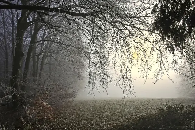 Unser Leben ist etwas sehr kostbares
Schätze dies und vergiss es nie.
Foto: Glaser 