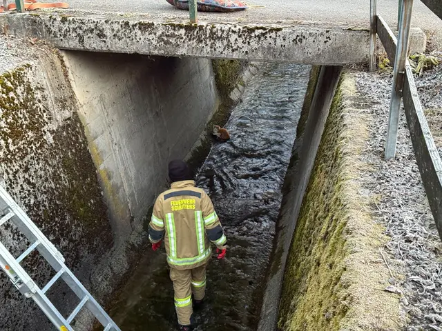 Mit einer glücklichen Wiedervereinigung endet die Rettungsaktion: Die Katze ist wohlauf und wieder in den sicheren Händen ihres Besitzers. | Foto: ZOOM.TIROL