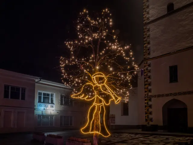 Foto: Dieter Arbeiter