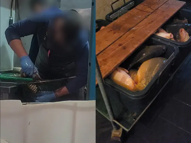Tierschützer vom Verein gegen Tierfabriken (VGT) waren auch heuer wieder auf Wiener Märkten unterwegs. Sie dokumentierten Missstände im Umgang mit Lebendfischen. | Foto: VGT