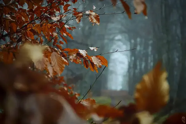 Gib mir nicht, was ich mir wünsche,
Sondern gib mir, was ich brauche.
(Antoine Saint-Exupéry)
Foto: Glaser 