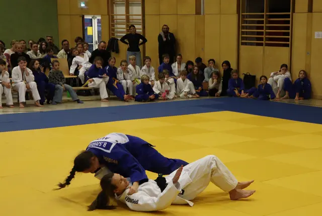 Brigitta Szegeti (blau) bei ihrer Braun-Prüfung | Foto: Gerhard Langmann