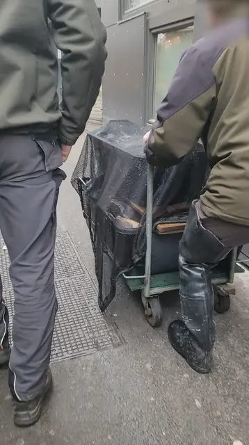 Foto: VGT