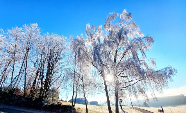 ....heute bei Bad Leonfelden.