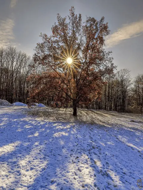 Der Reiche besitzt kein Vermögen, denn
das Vermögen besitzt ihn.
Foto: Glaser 